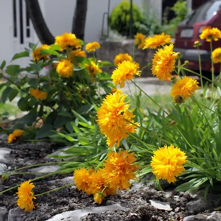 Apartamento By The Sea Vantacici, Krk - 5347 *